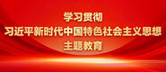 牛b叉在线学习贯彻习近平新时代中国特色社会主义思想主题教育_fororder_ad-371X160(2)